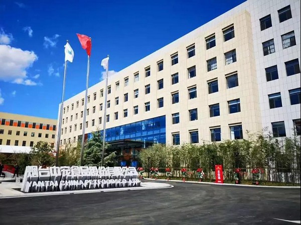 首页- 尊龙集团中国官方网站