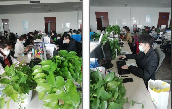 62a18cfc5f354a11aa7db2c200f90bf4 62a18cfc5f354a11aa7db2c200f90bf4