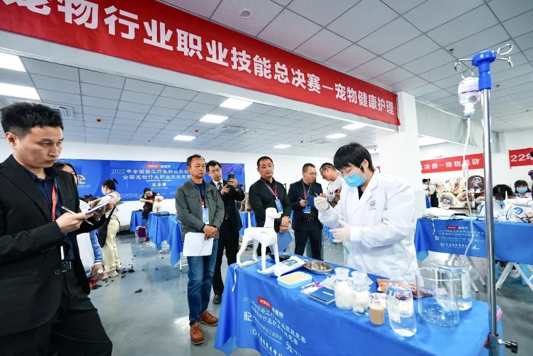 6de771217fc94cd58e32a9e5af1df560 图片