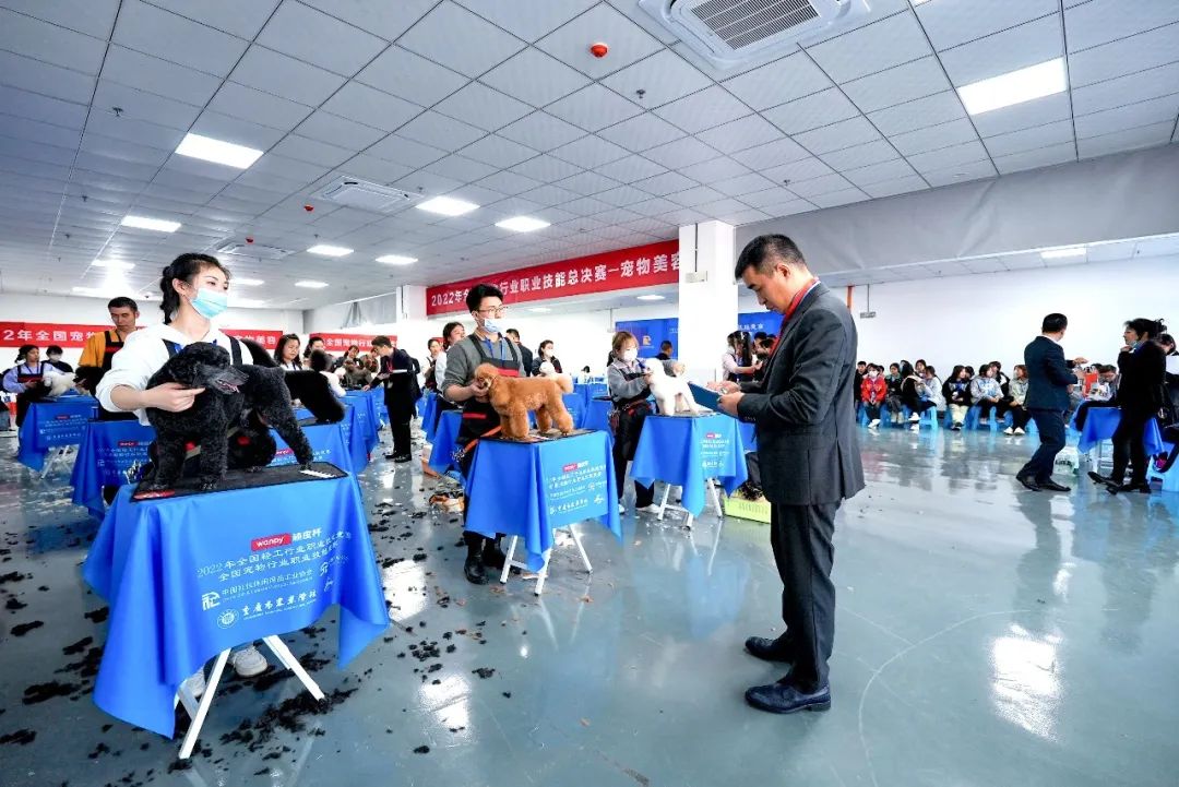cd05f144bcdb4bd49367be167584a4e9 图片
