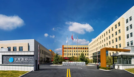 首页- 尊龙集团中国官方网站